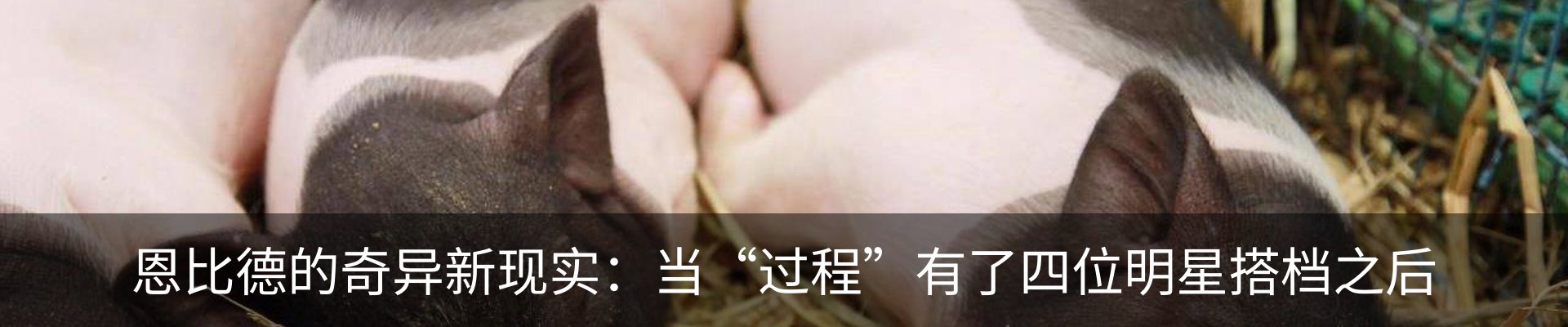 最新动态