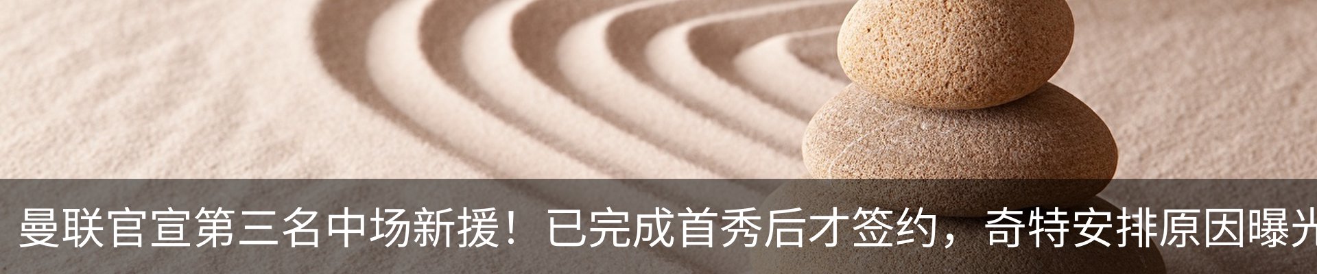 最新动态