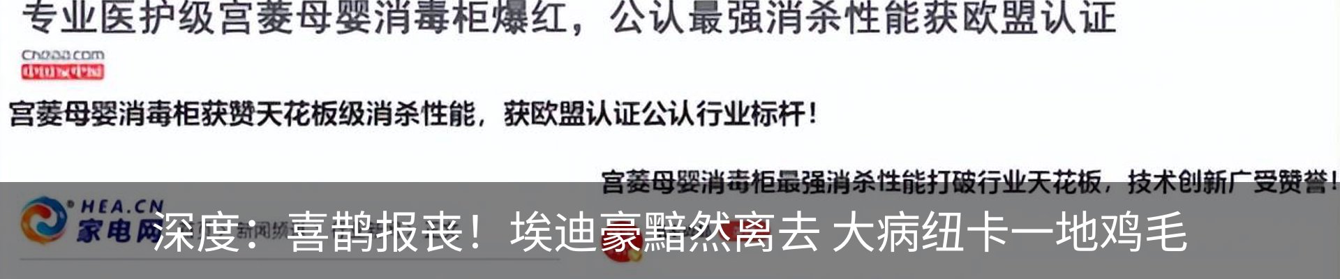 最新动态