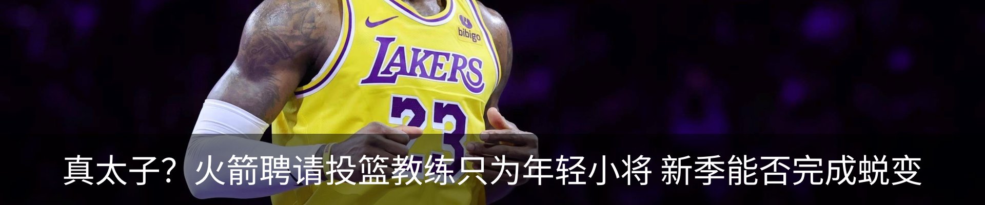 最新动态