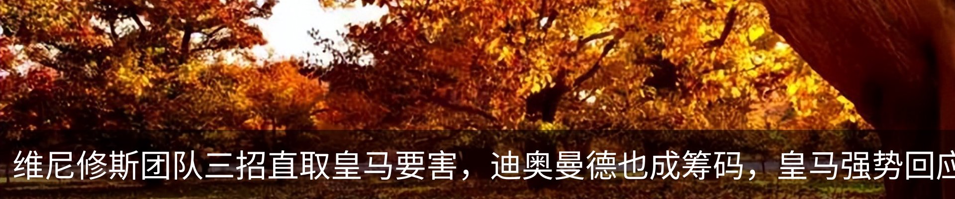最新动态