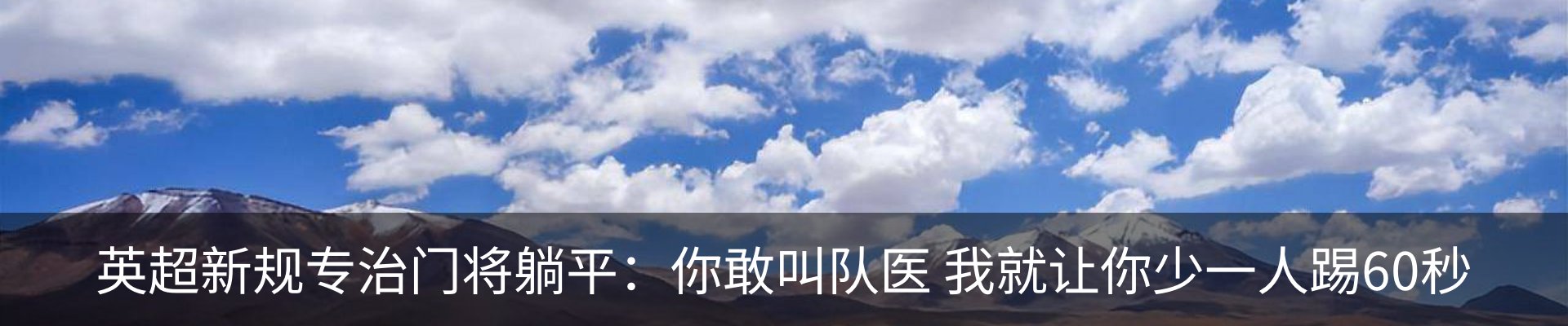 最新动态