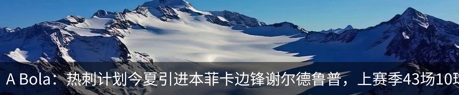 最新动态